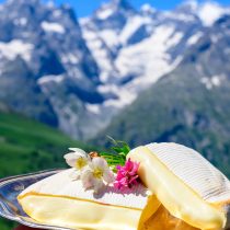 Les Congères Cheese collection, French reblochon de savoie gratin cow milk cheese served outdoor in sunny day with view on green meadows and snowy tops of French Als mountains